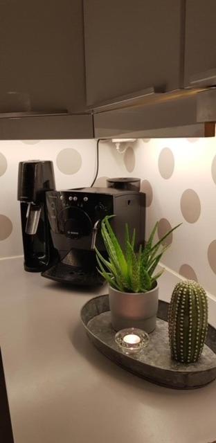 Sentralt 10 minutt med buss til Trondheim Sentrum