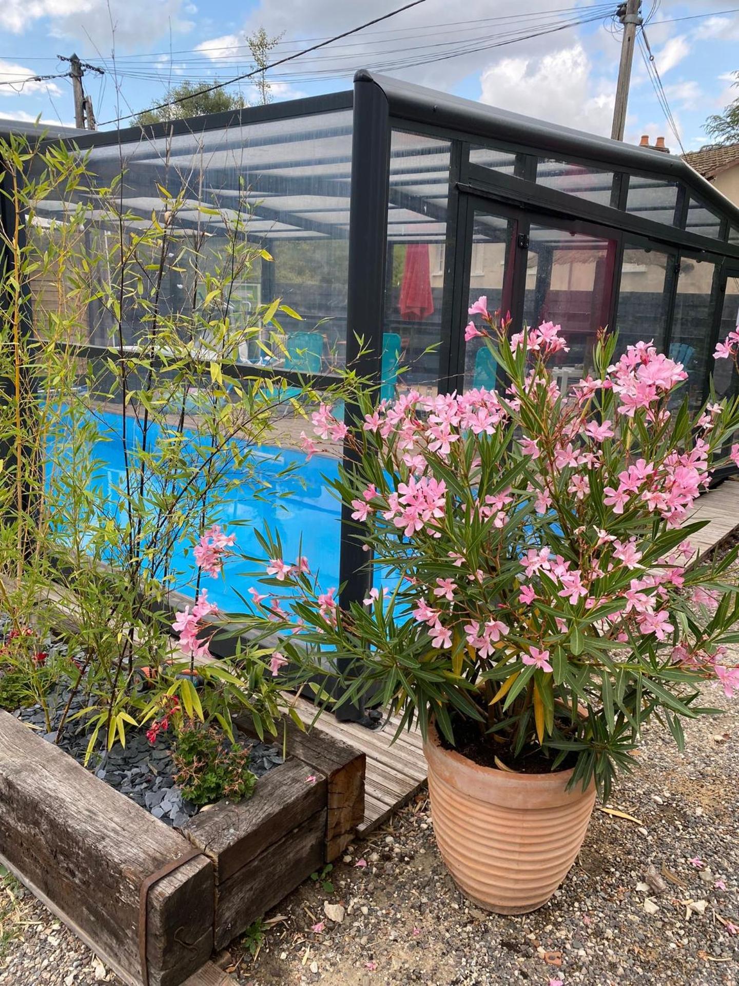 Gîte du Silo Loft atypique ,Tournesol , spa&piscine couverte