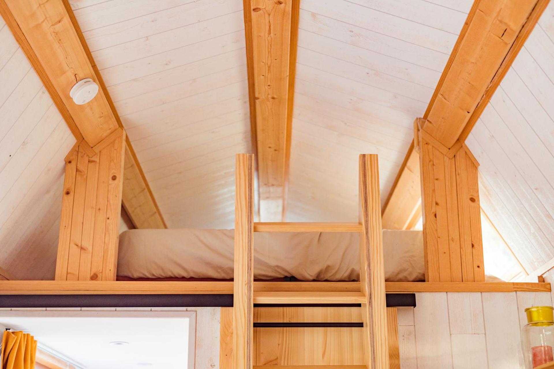 Tiny Messancy, une immersion dans la nature !