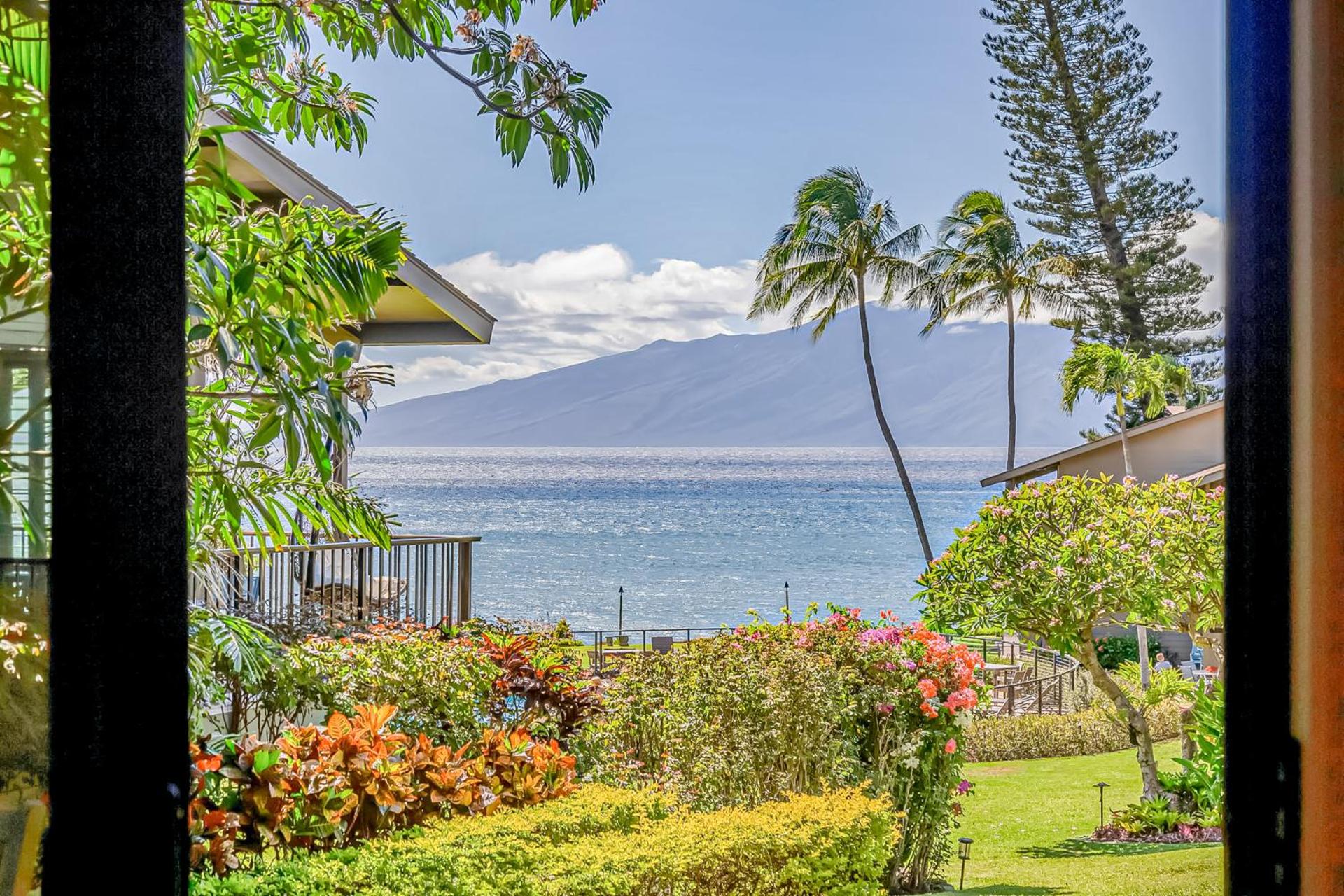 Polynesian Shores 118