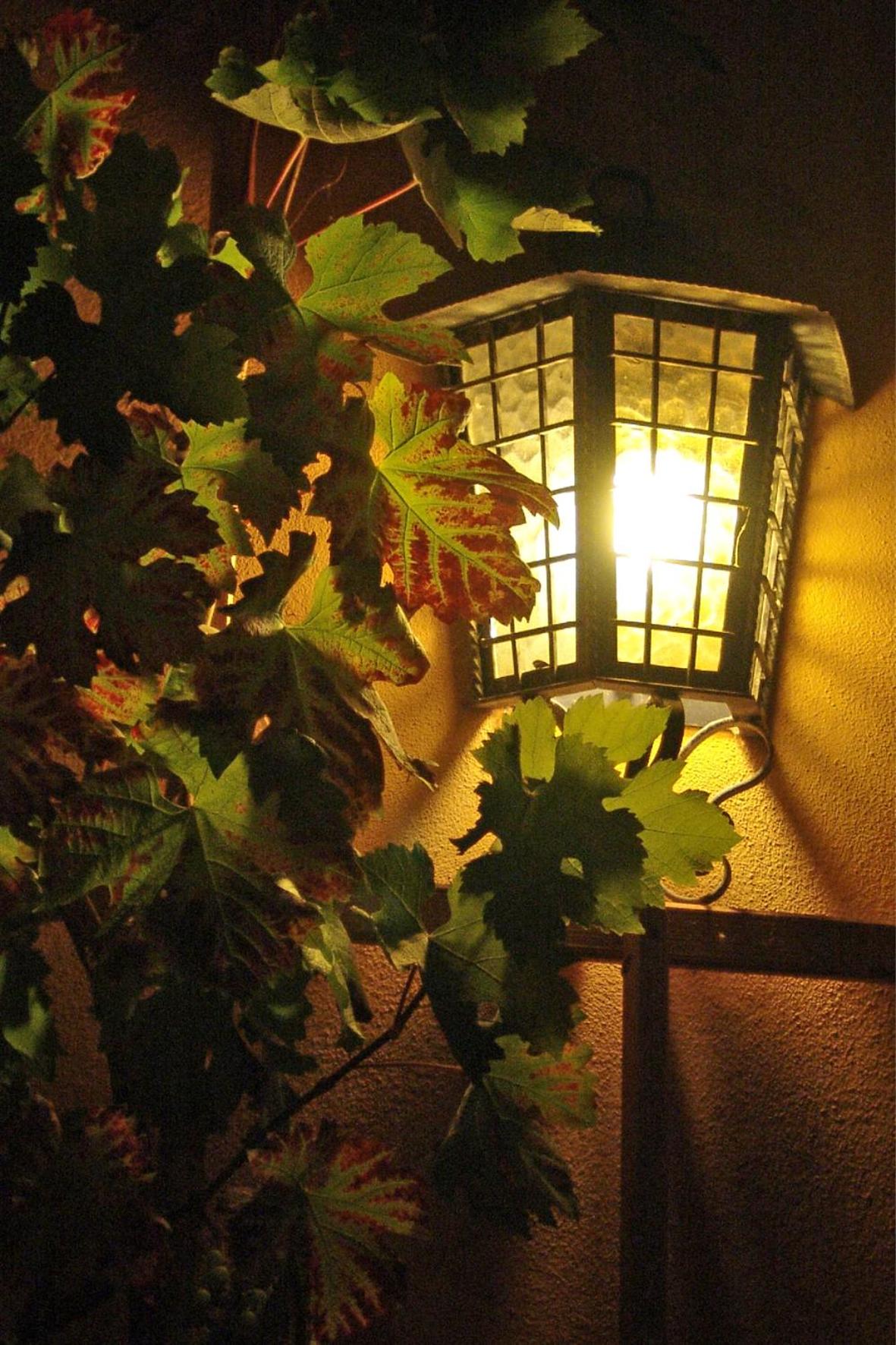 Elbschlösschen Refugium