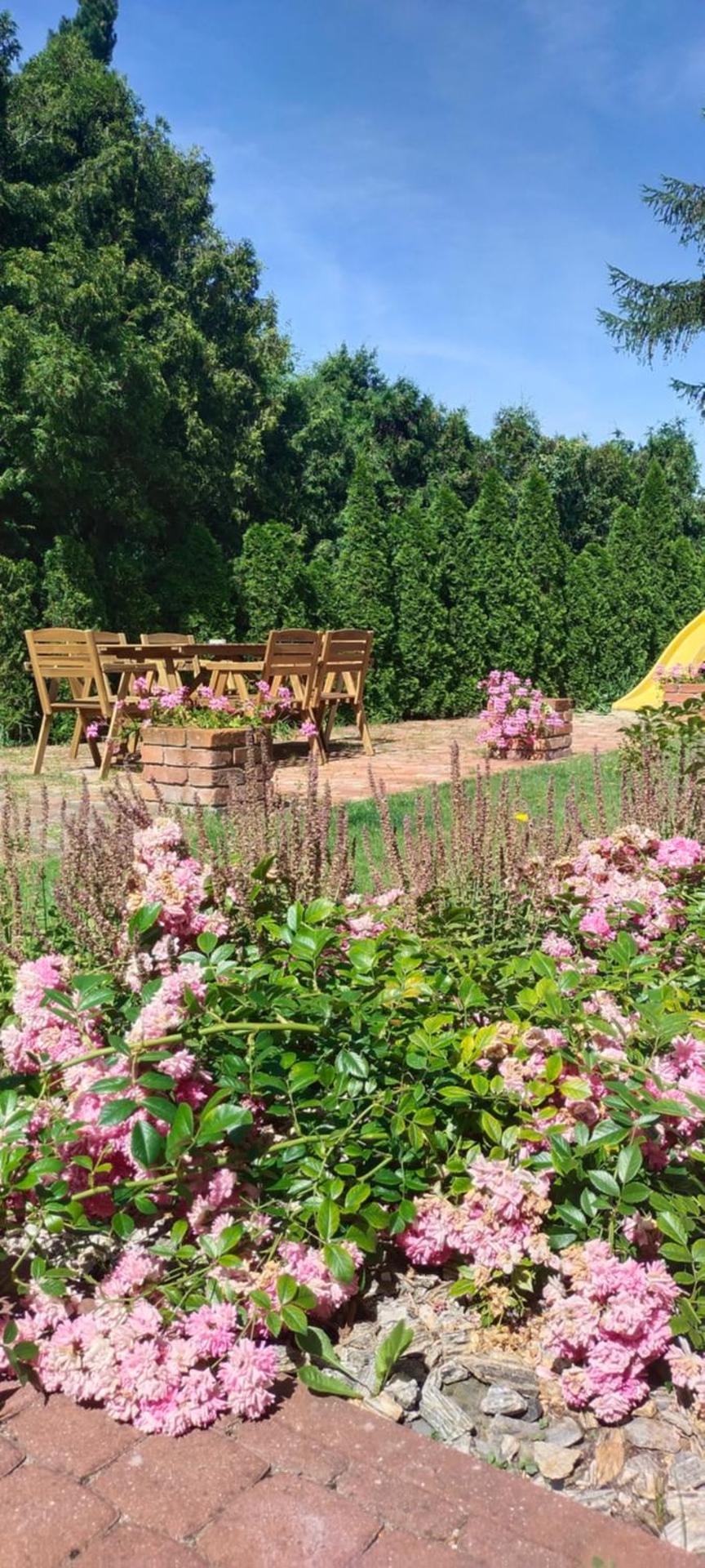 Apartamenty Heweliusz House