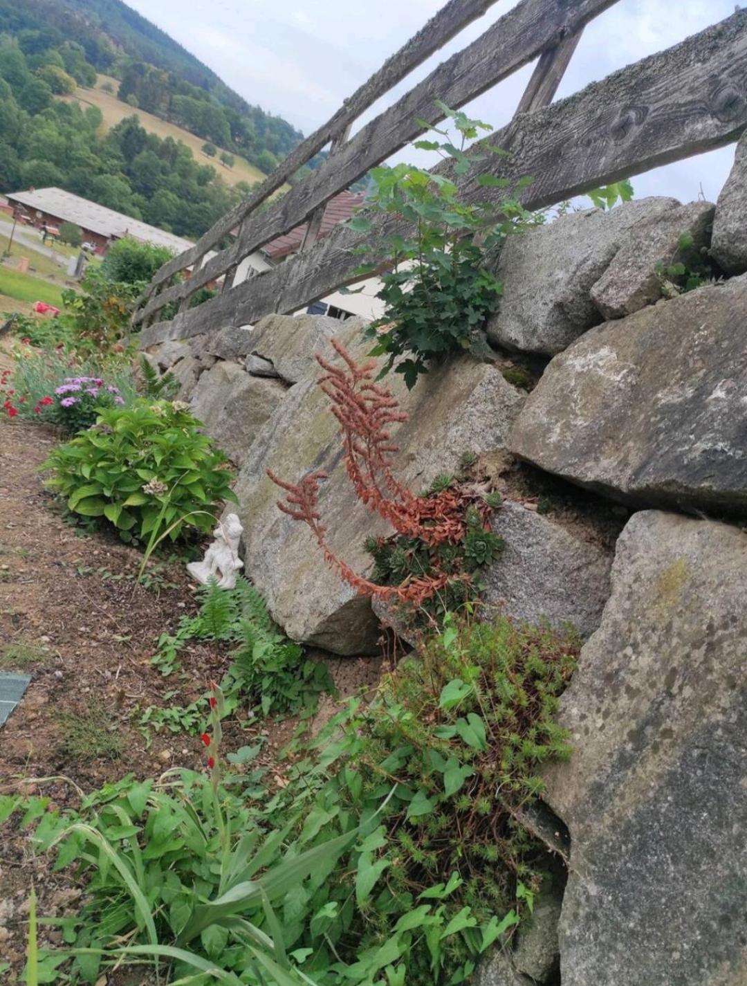 Gite Luxury à Soultzeren