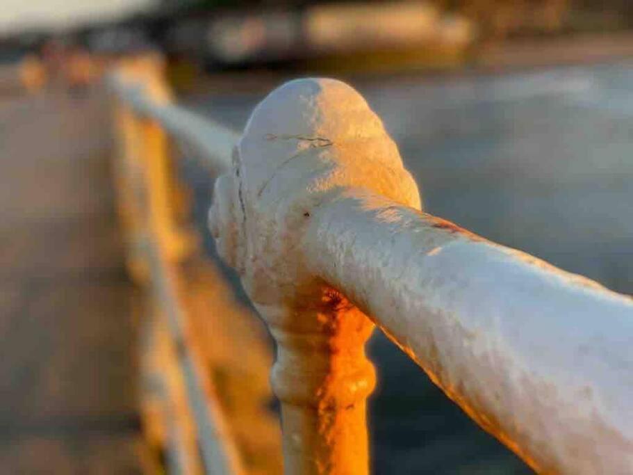 Cosy 400yr old Cottage, Flowergate, Whitby, Sleeps 6