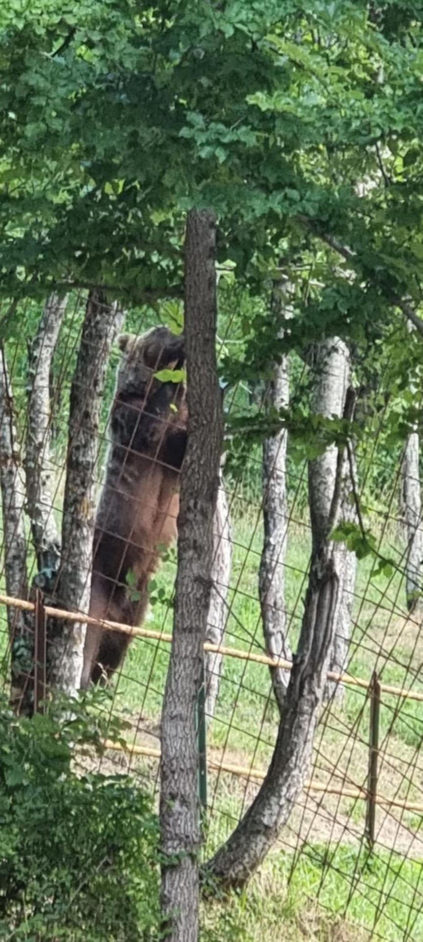 Casa vacanze al Castello