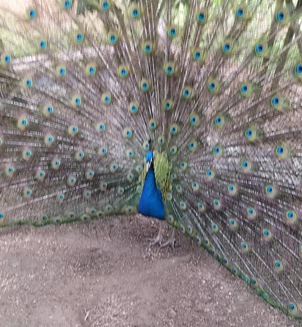 CRASTO PAYVA DOURO NATURE