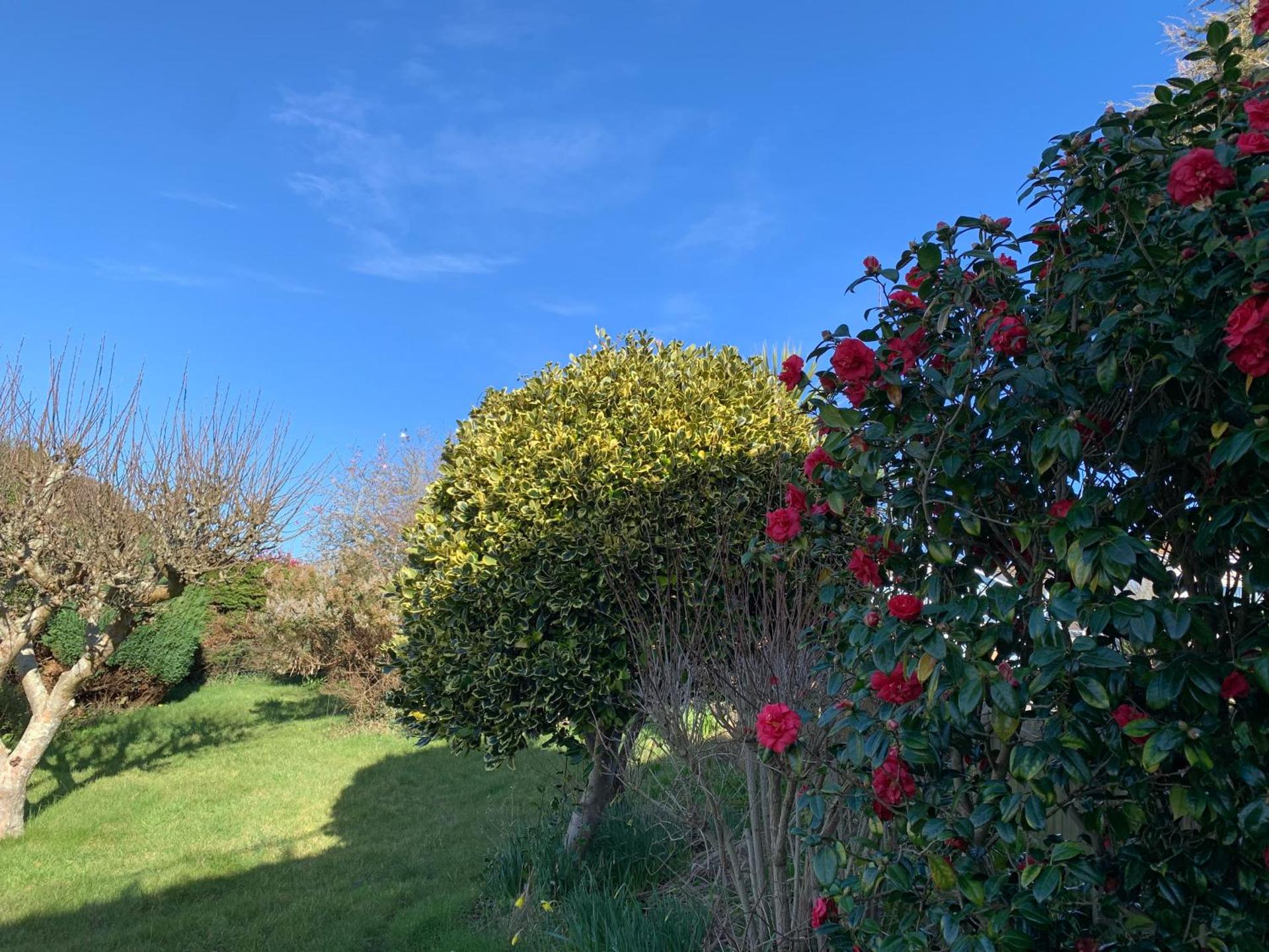 Beautiful Garden Room with Private Entrance
