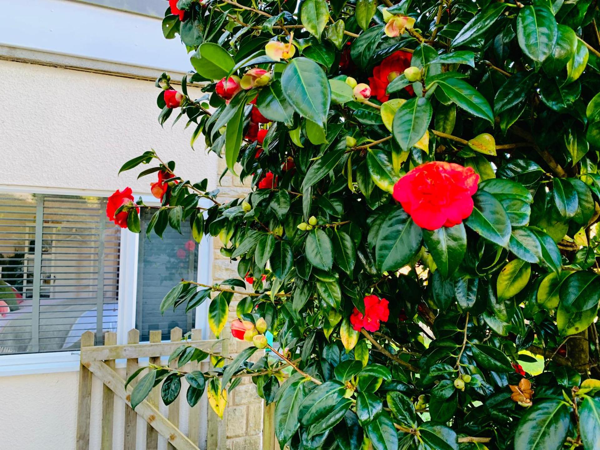 Beautiful Garden Room with Private Entrance
