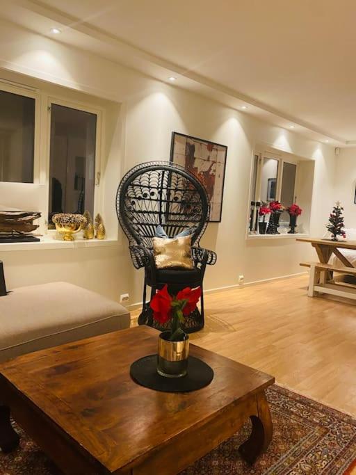 Stort hus i Porsgrunn sentrum med gangavstand til "alt" & gratis parkering til flere biler