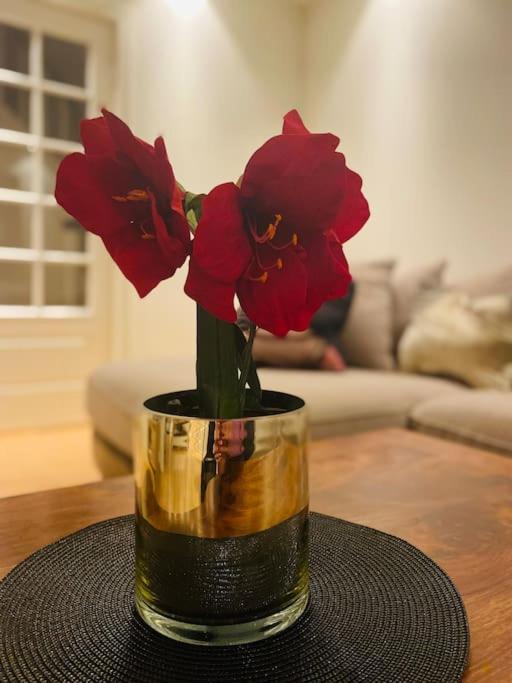 Stort hus i Porsgrunn sentrum med gangavstand til "alt" & gratis parkering til flere biler