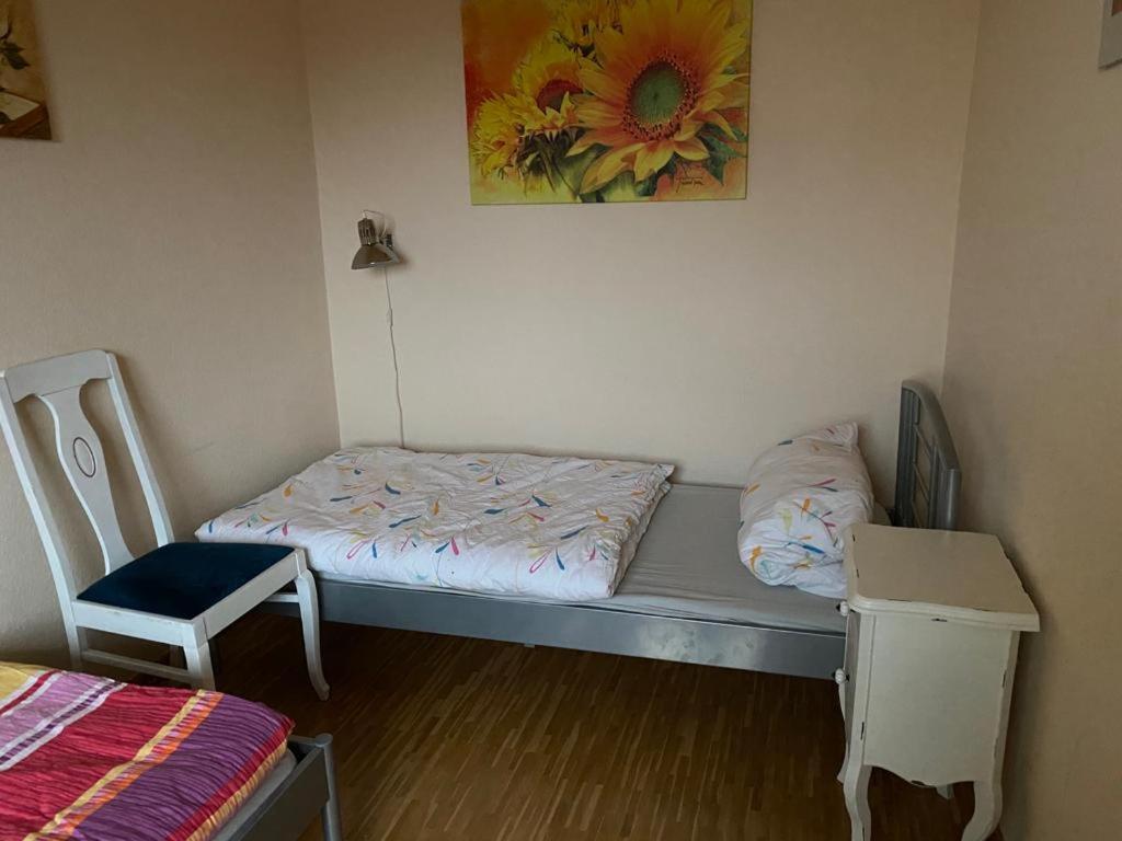 Blick über Bonn ins Siebengebirge