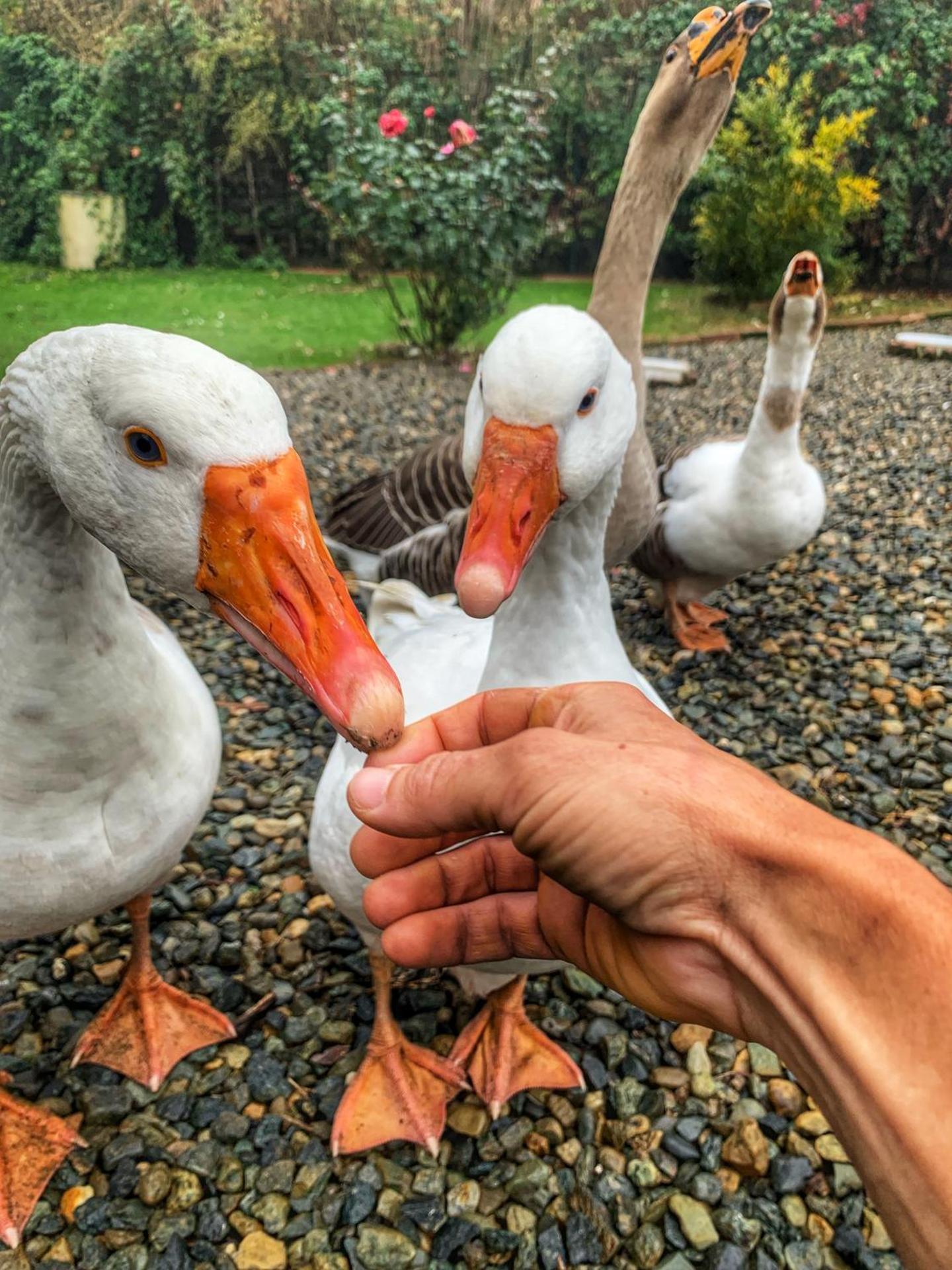 Cà del Prete country room by Cà degli Ovi