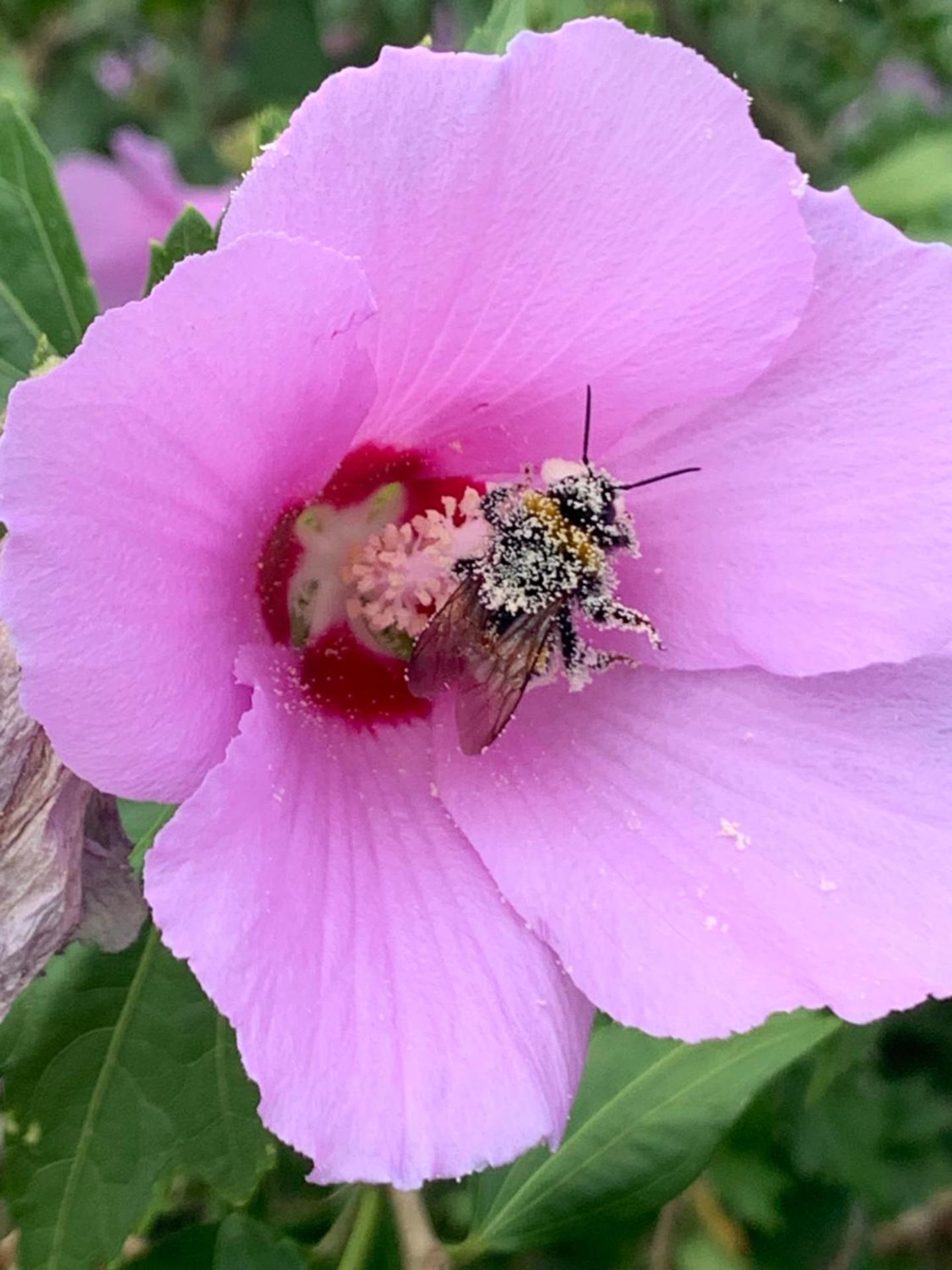 Cà del Prete country room by Cà degli Ovi