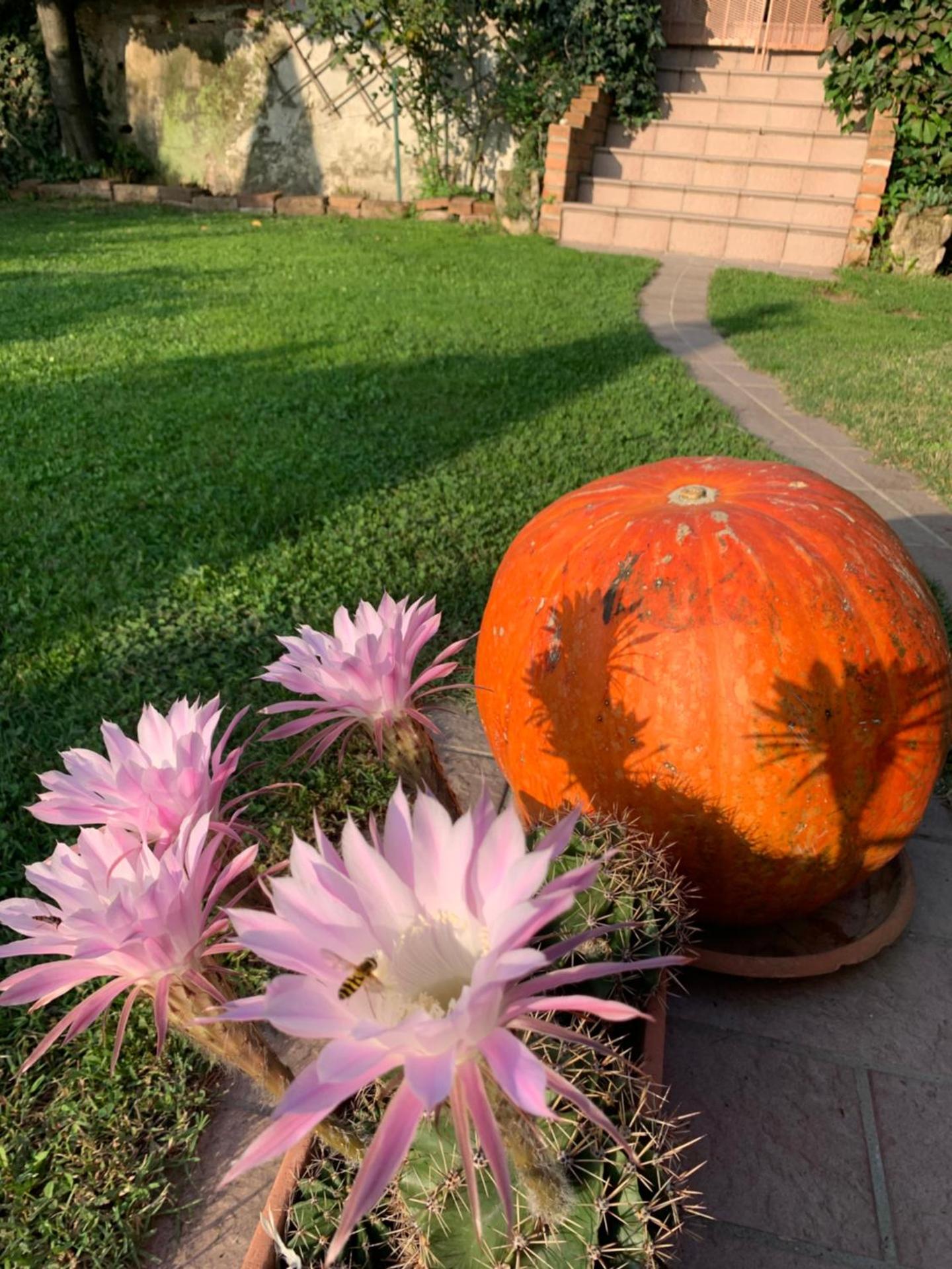 Cà del Prete country room by Cà degli Ovi