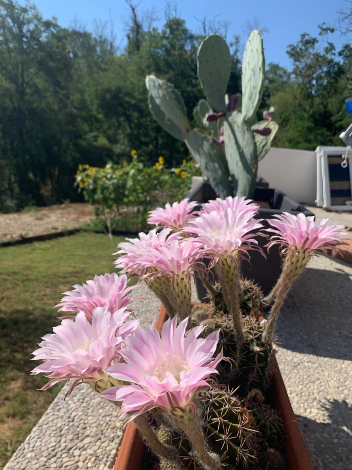 Cà del Prete country room by Cà degli Ovi