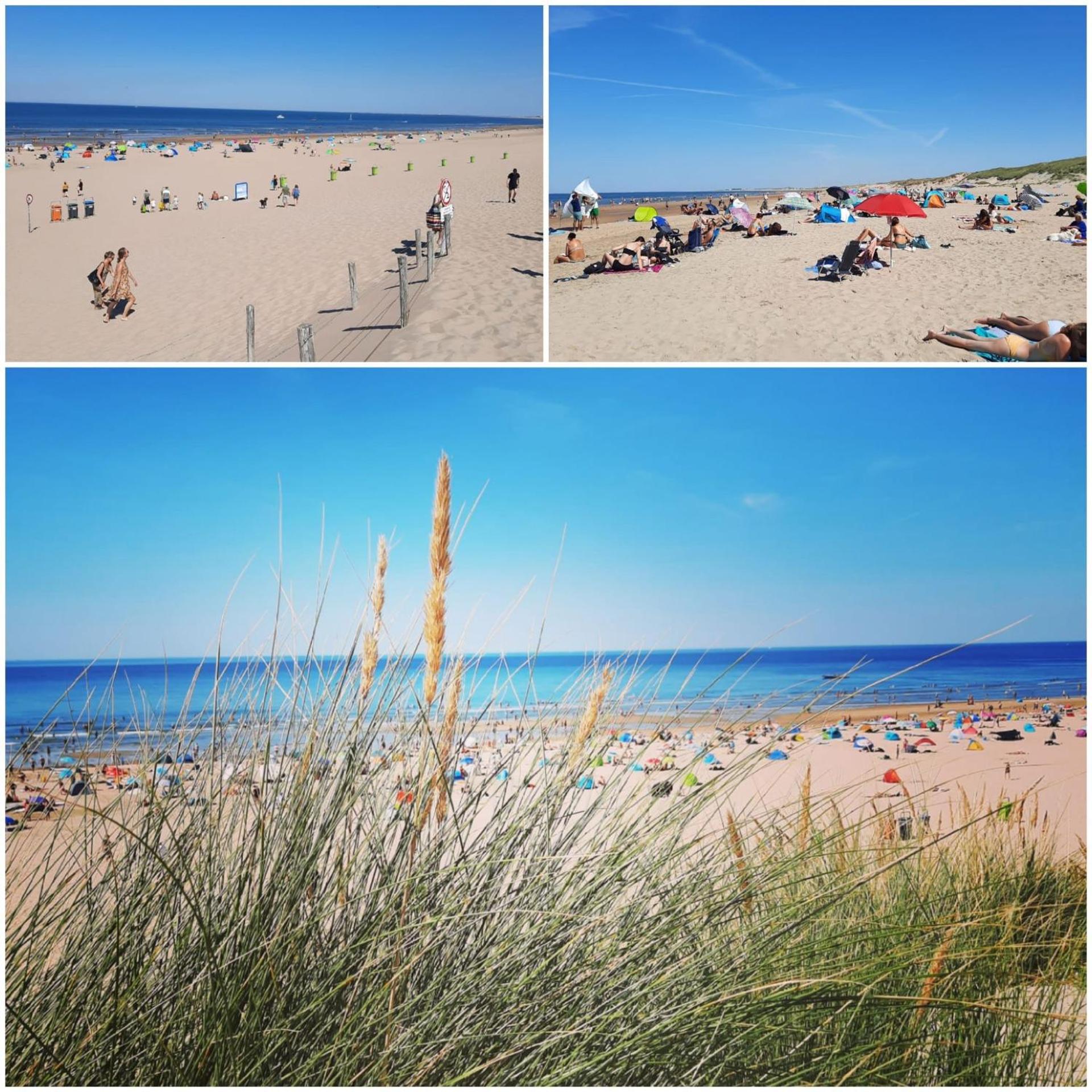 Design BB Bed&Bike holiday cottage Tiny Home in Spakenburg