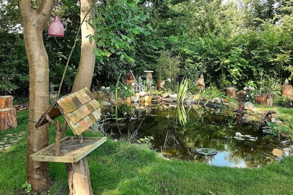 Quirky 18th Century Thatched Cottage