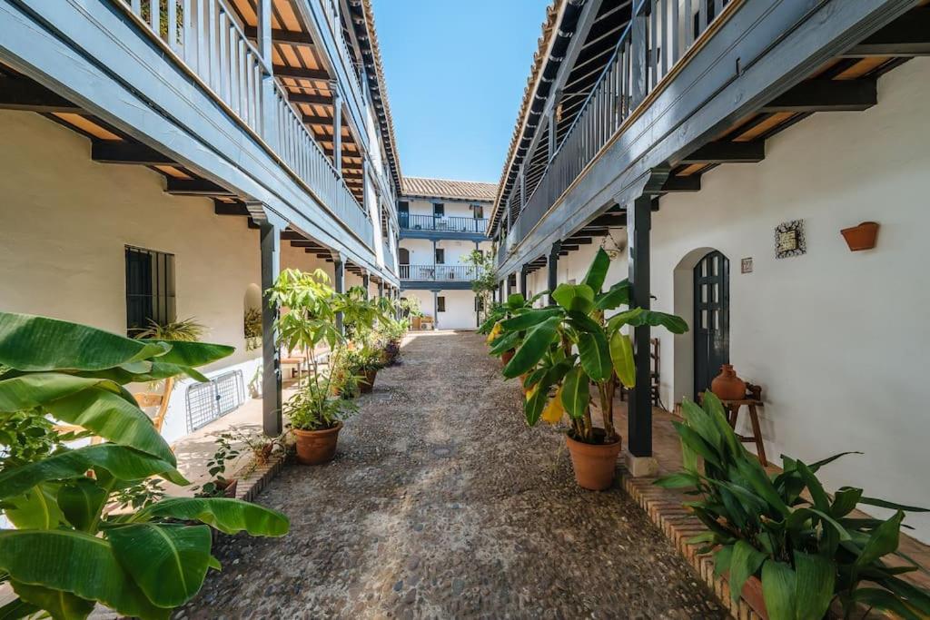 NEW APARTMENT IN TRADITIONAL BUILDING OF THE XVI CENTURY