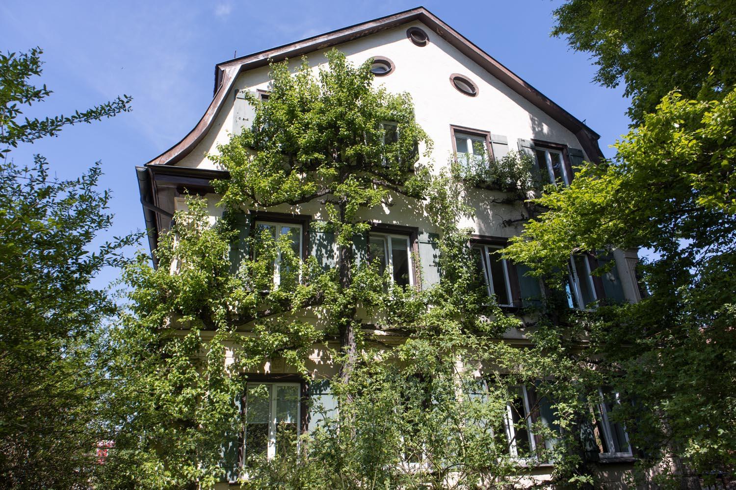 villaflora Gästehaus