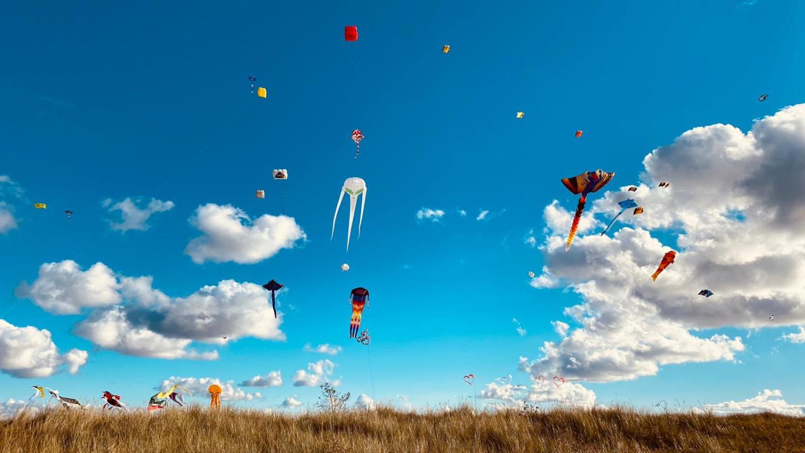 Kajüthus Apartment 3