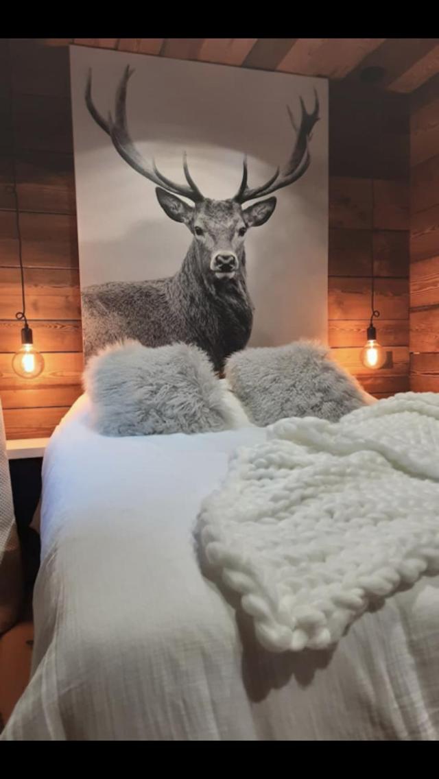 Chalet avec jacuzzi - 150 m des remontées