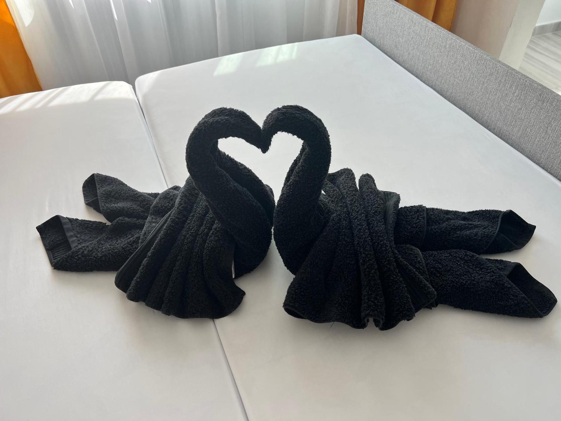 Miha modern and central apartament