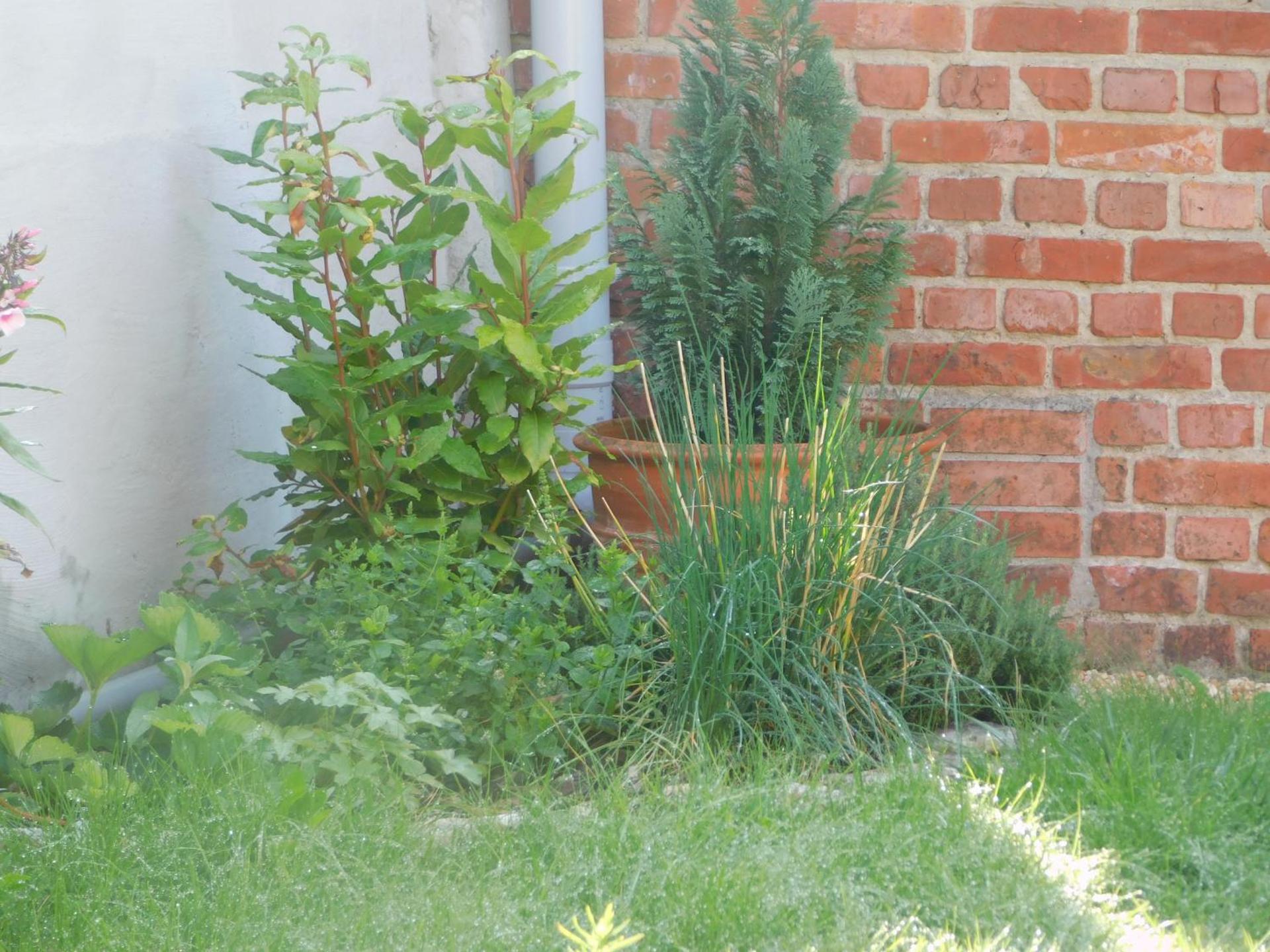 Vakantiewoning Louis