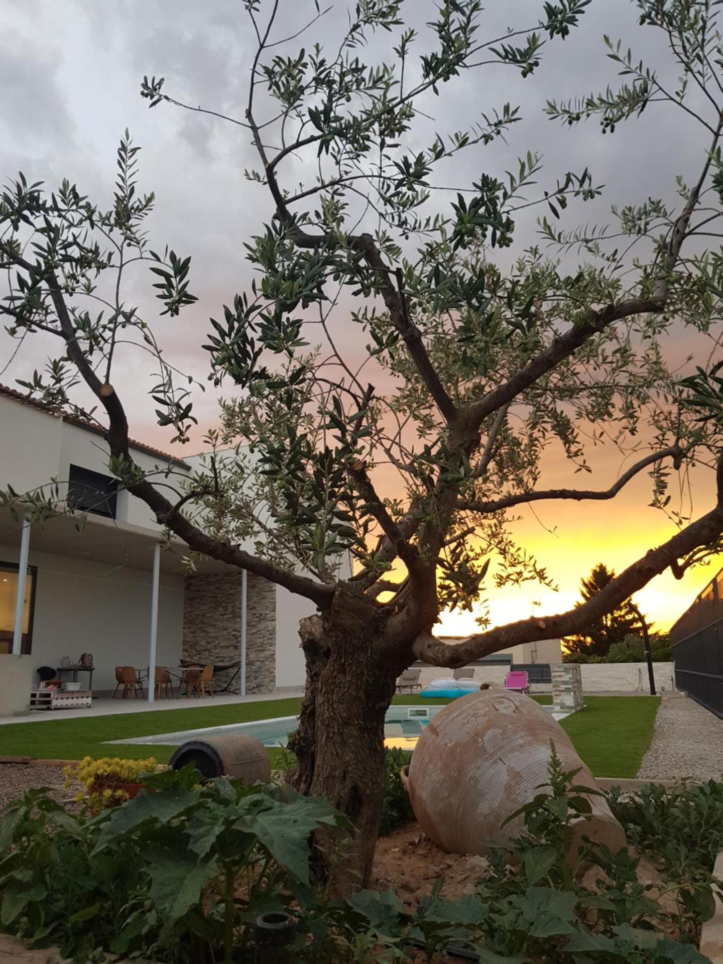 Casa con piscina y jardin privado OASIS DE DOLORS