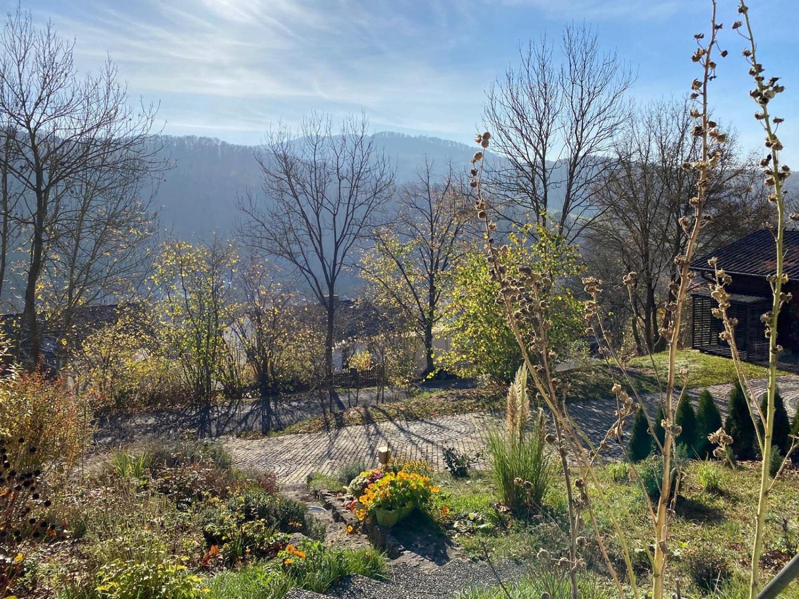 View (from property/room)