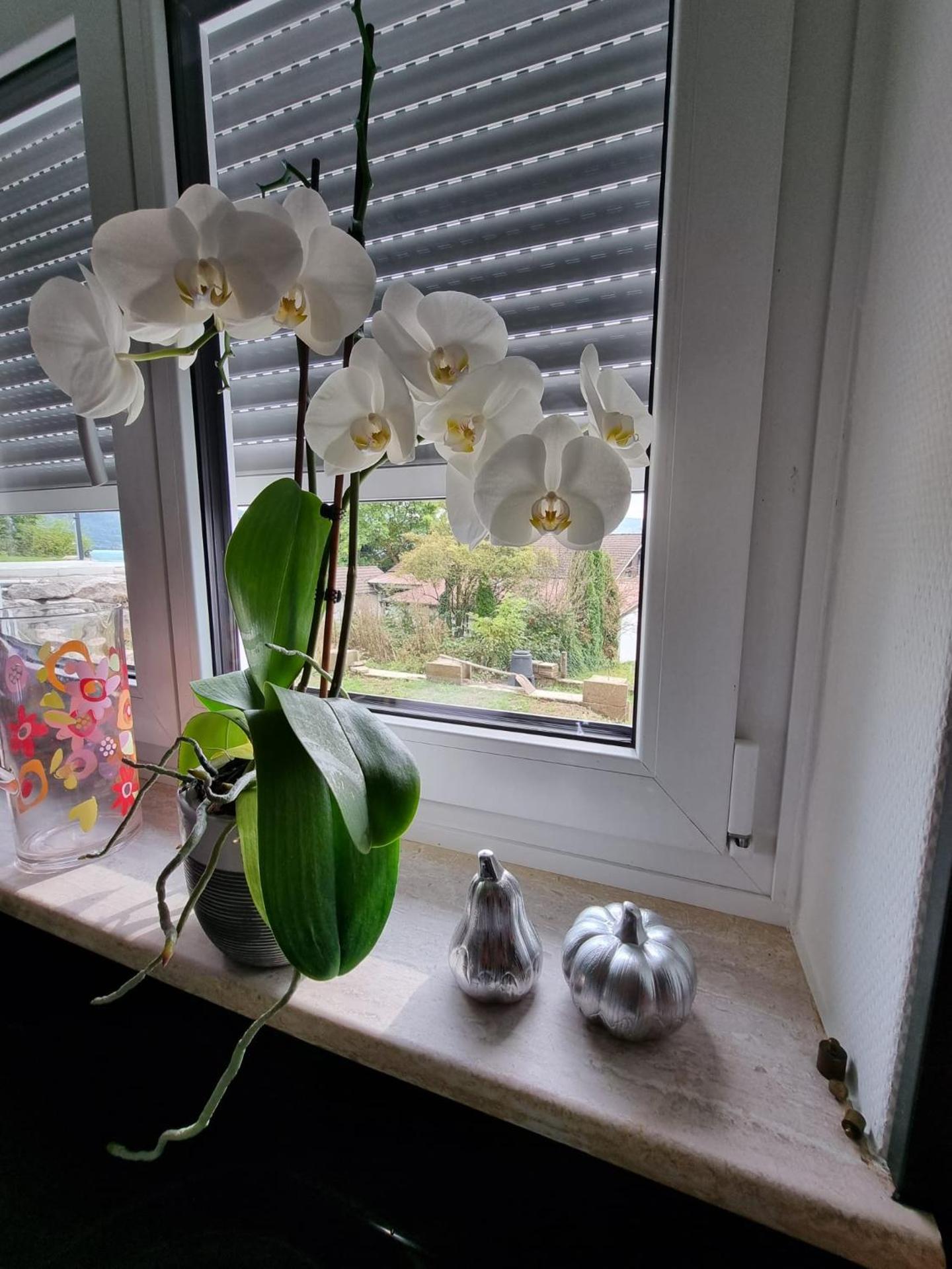 Holiday Apartment Moises y Ruth