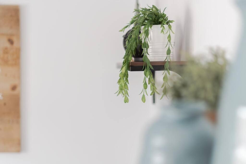 Vakantiewoning 't Juttershuis Egmond aan Zee