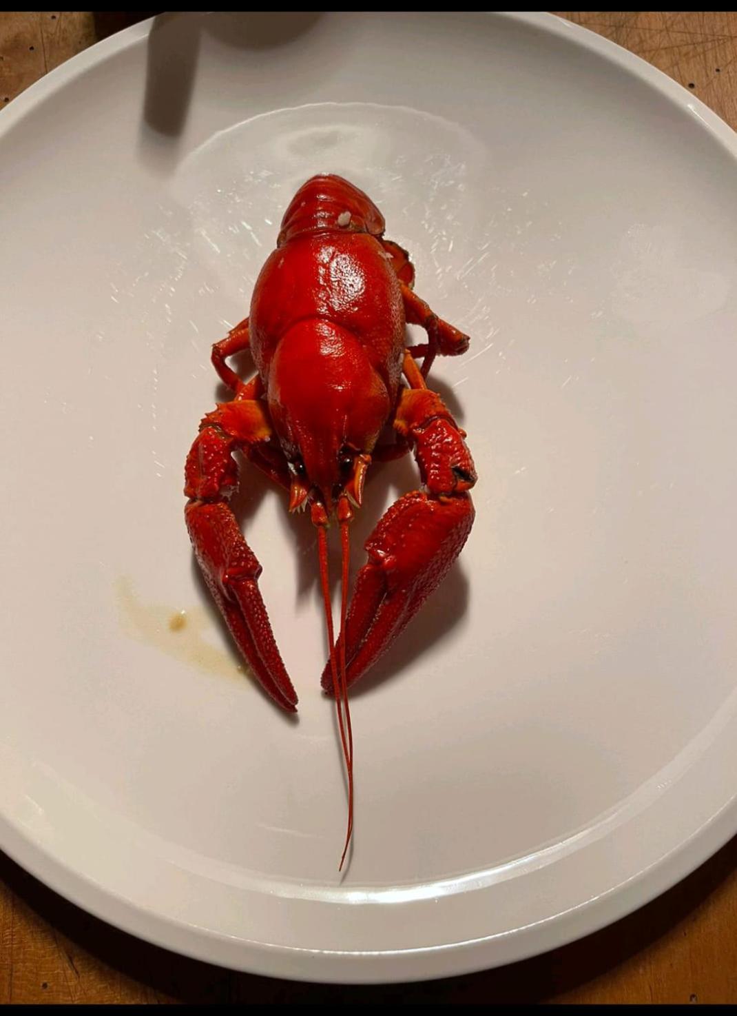 OFFGRID Haus am Angelteich