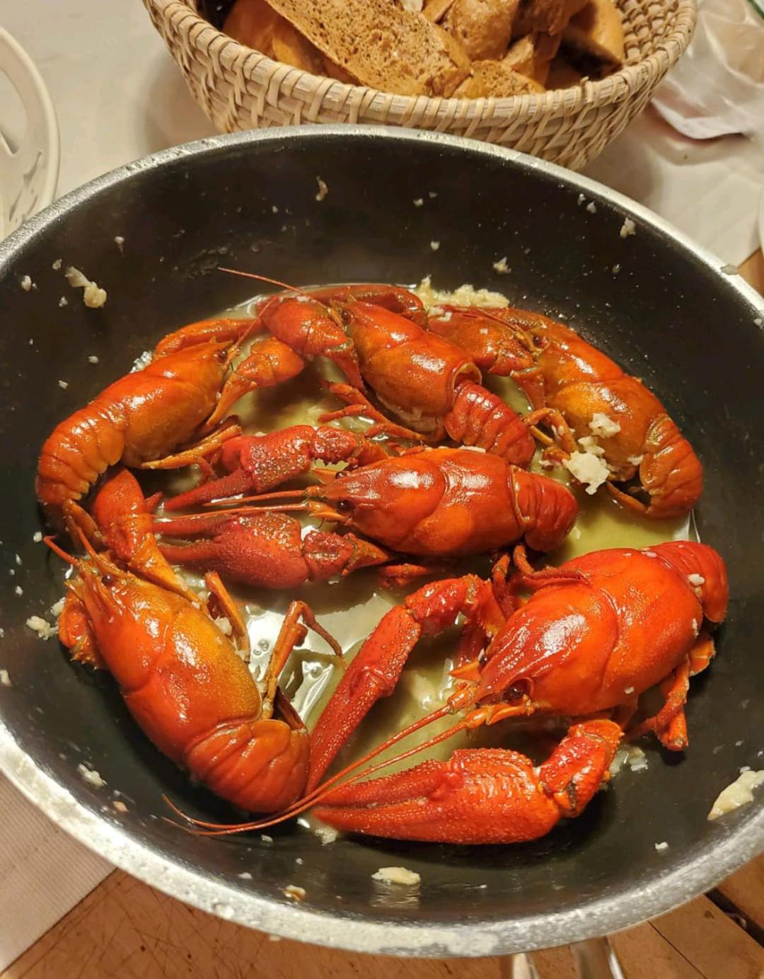 OFFGRID Haus am Angelteich