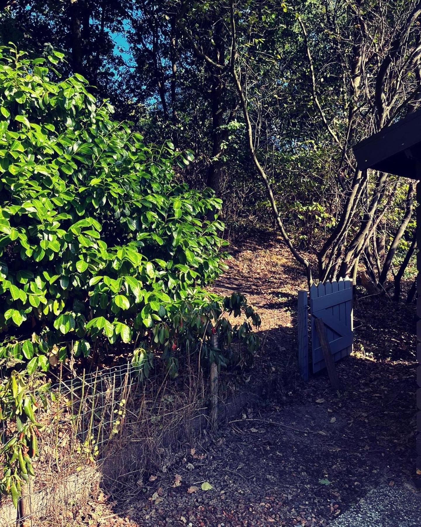 Heerlijk bos chalet met ongekende rust en vrijheid