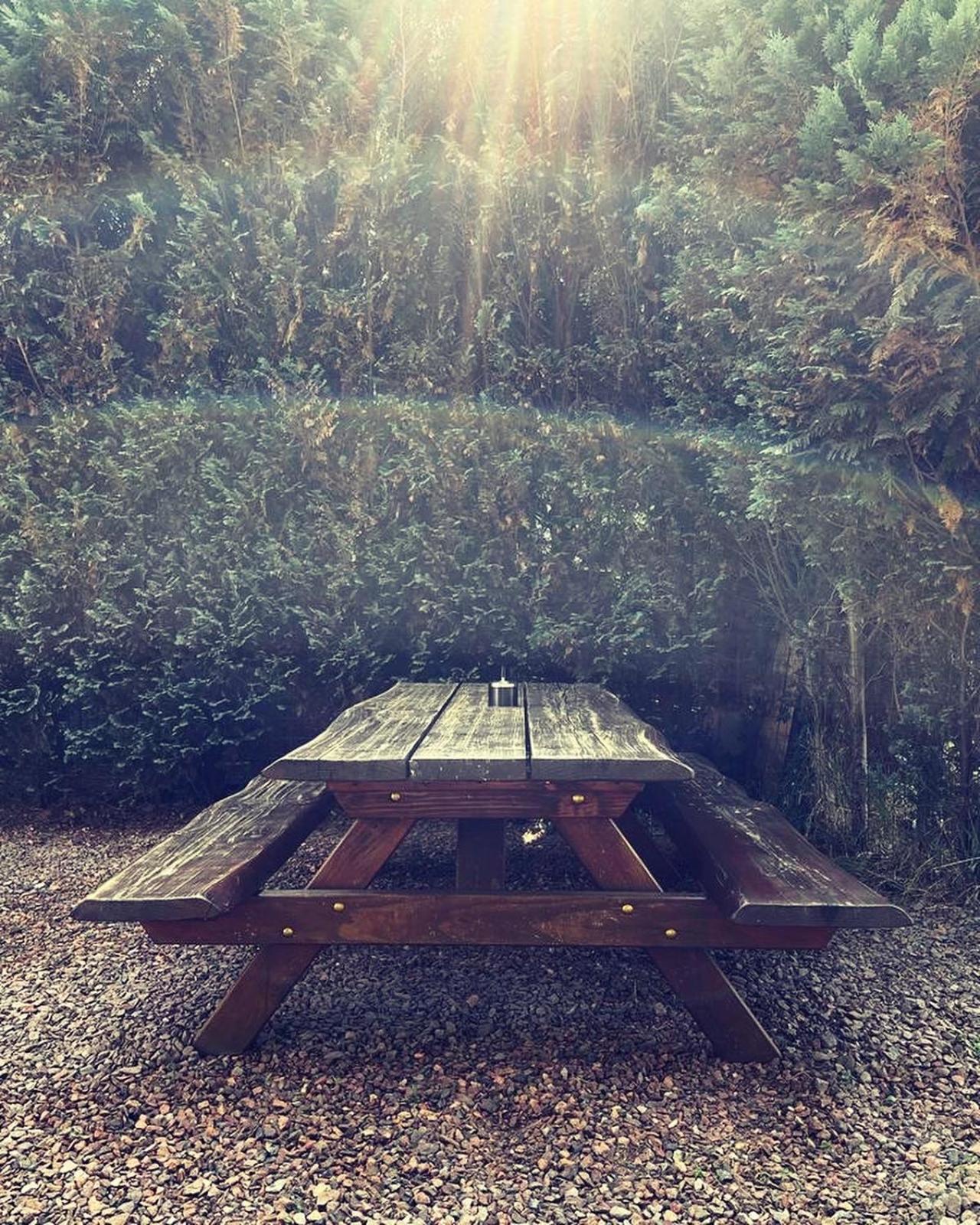 Heerlijk bos chalet met ongekende rust en vrijheid