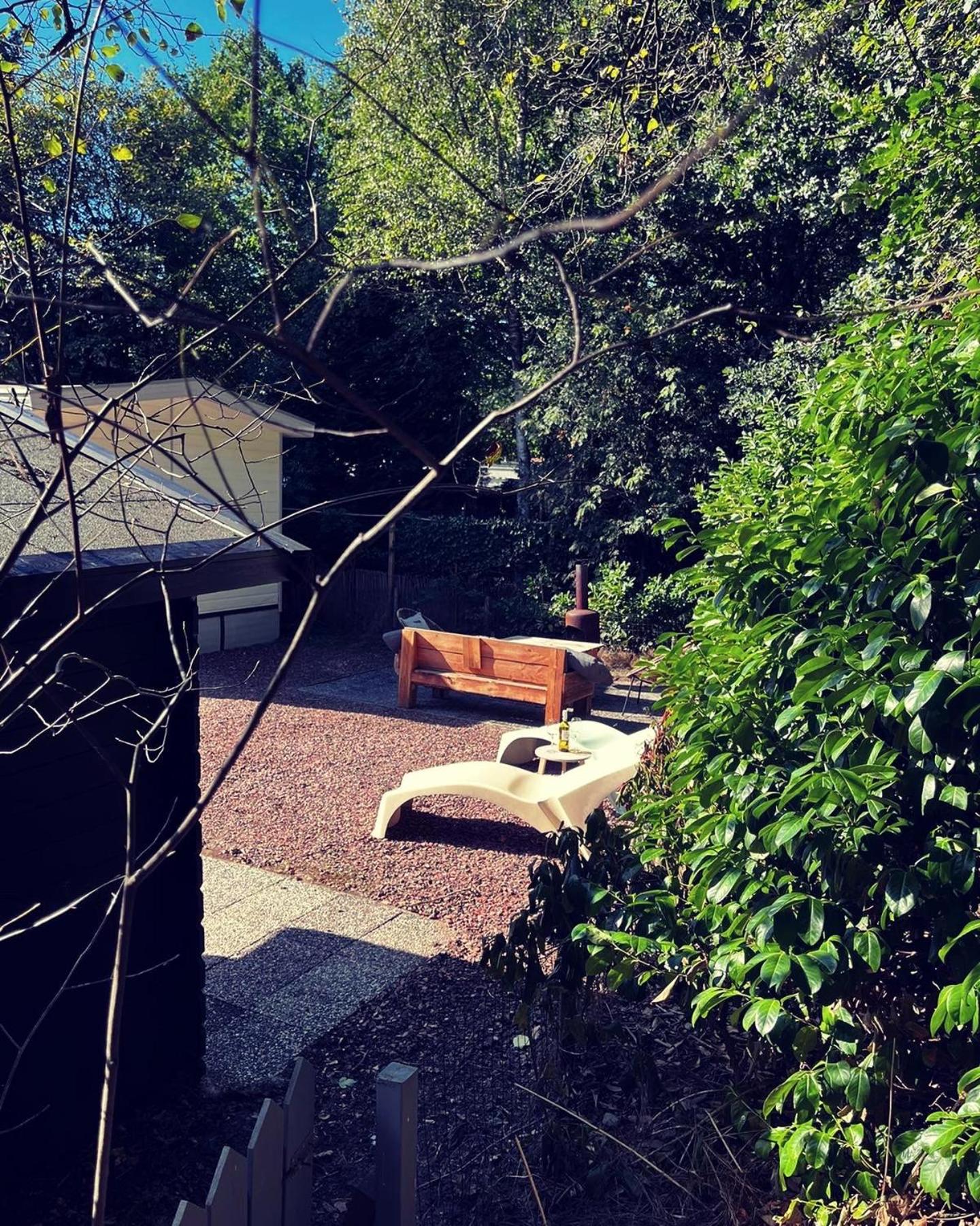 Heerlijk bos chalet met ongekende rust en vrijheid