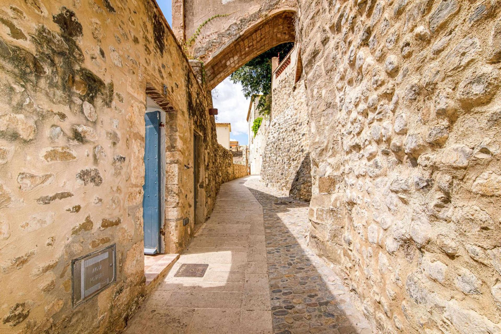 El Molino de Besalú Casa con jardín