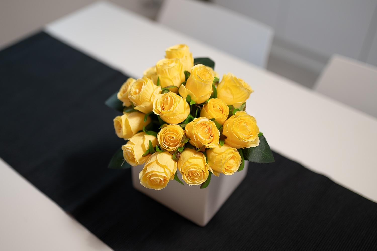 La casa di Anna green