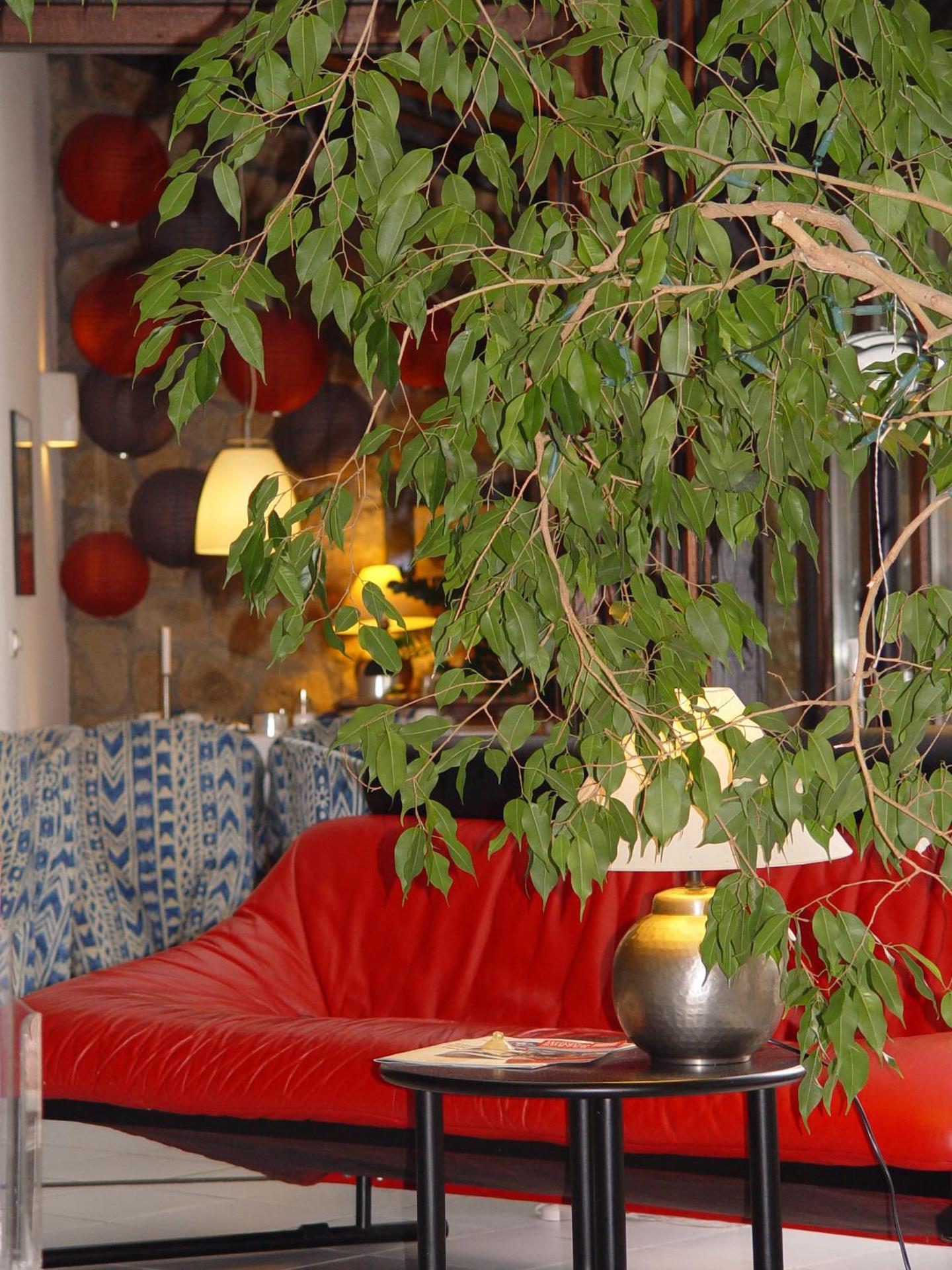 Communal lounge/ TV room