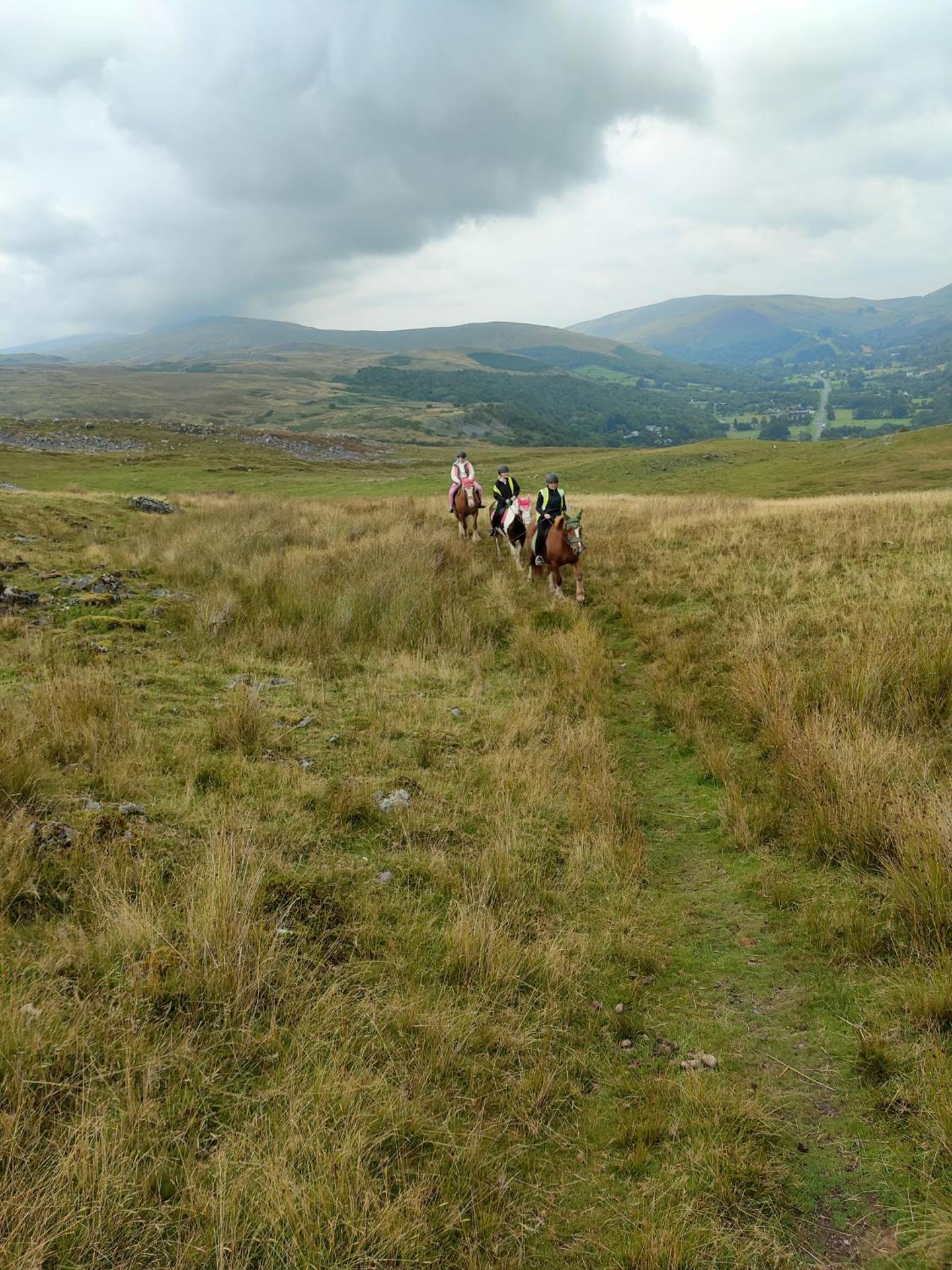 Pentre Riding Stables