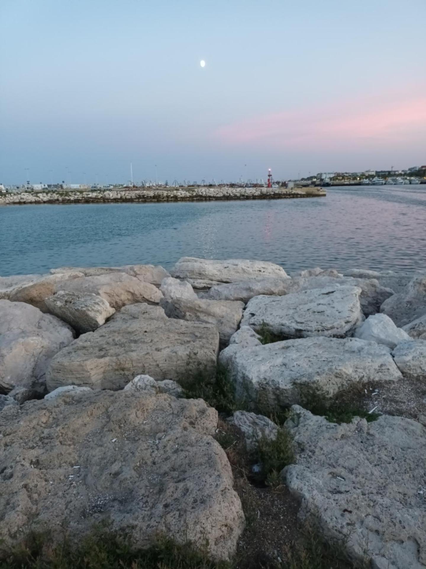 Bouganville A apartament B&B