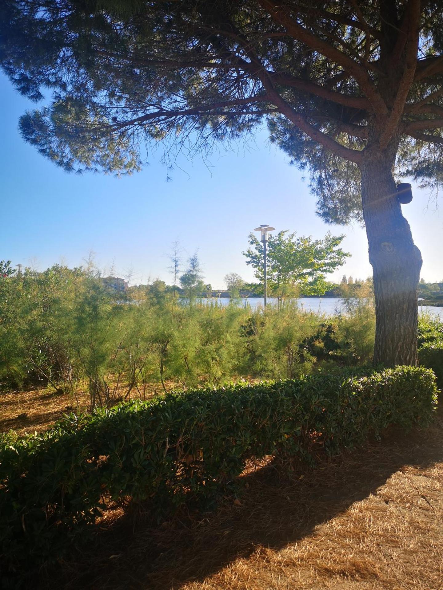 Magnifique T2 les pieds dans le sable