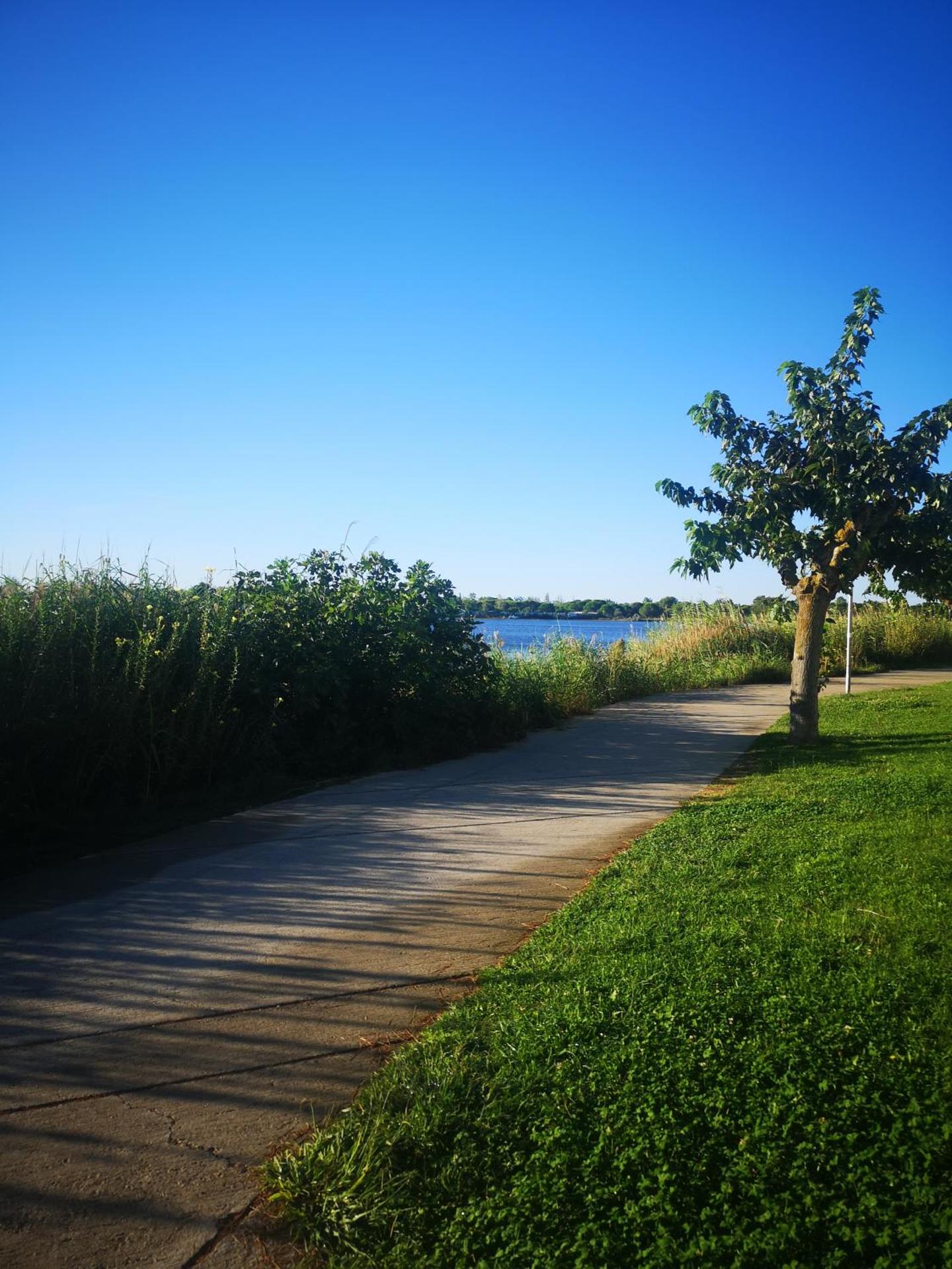 Magnifique T2 les pieds dans le sable