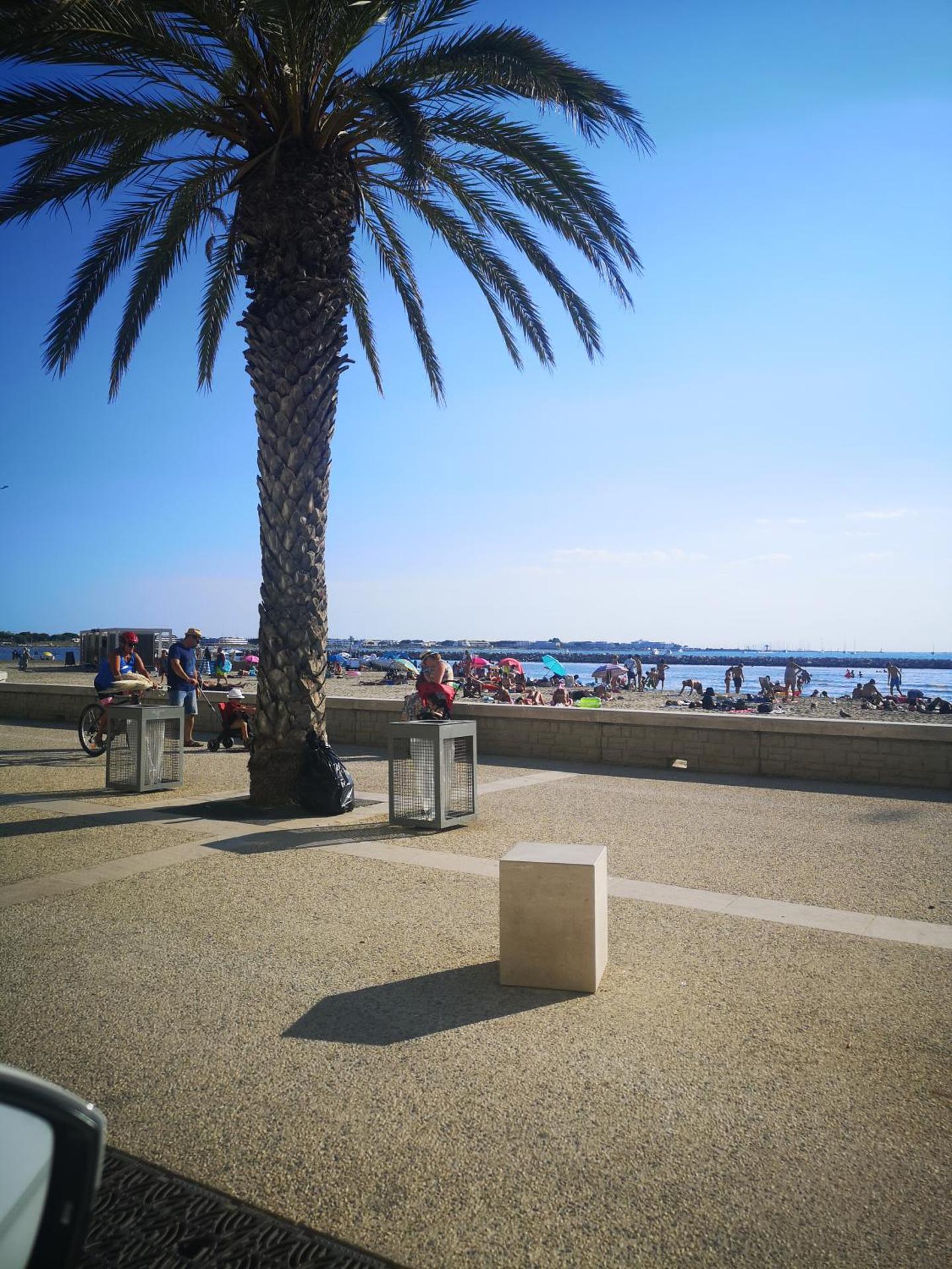 Magnifique T2 les pieds dans le sable