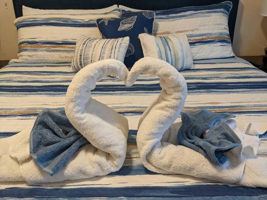 Hidden Oasis near Orlando, Disney, etc.