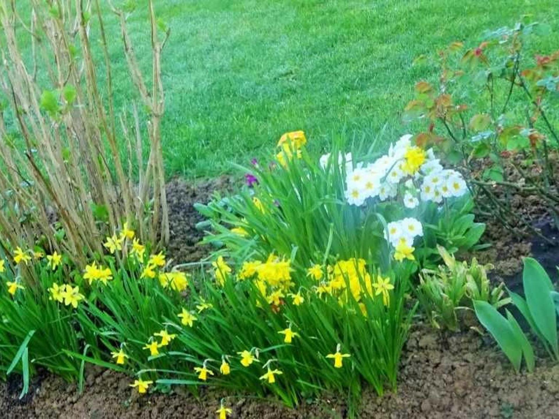 Charmant gîte cozy près du Mans avec jardin, terrasse, proche commodités et activités. - FR-1-410-336