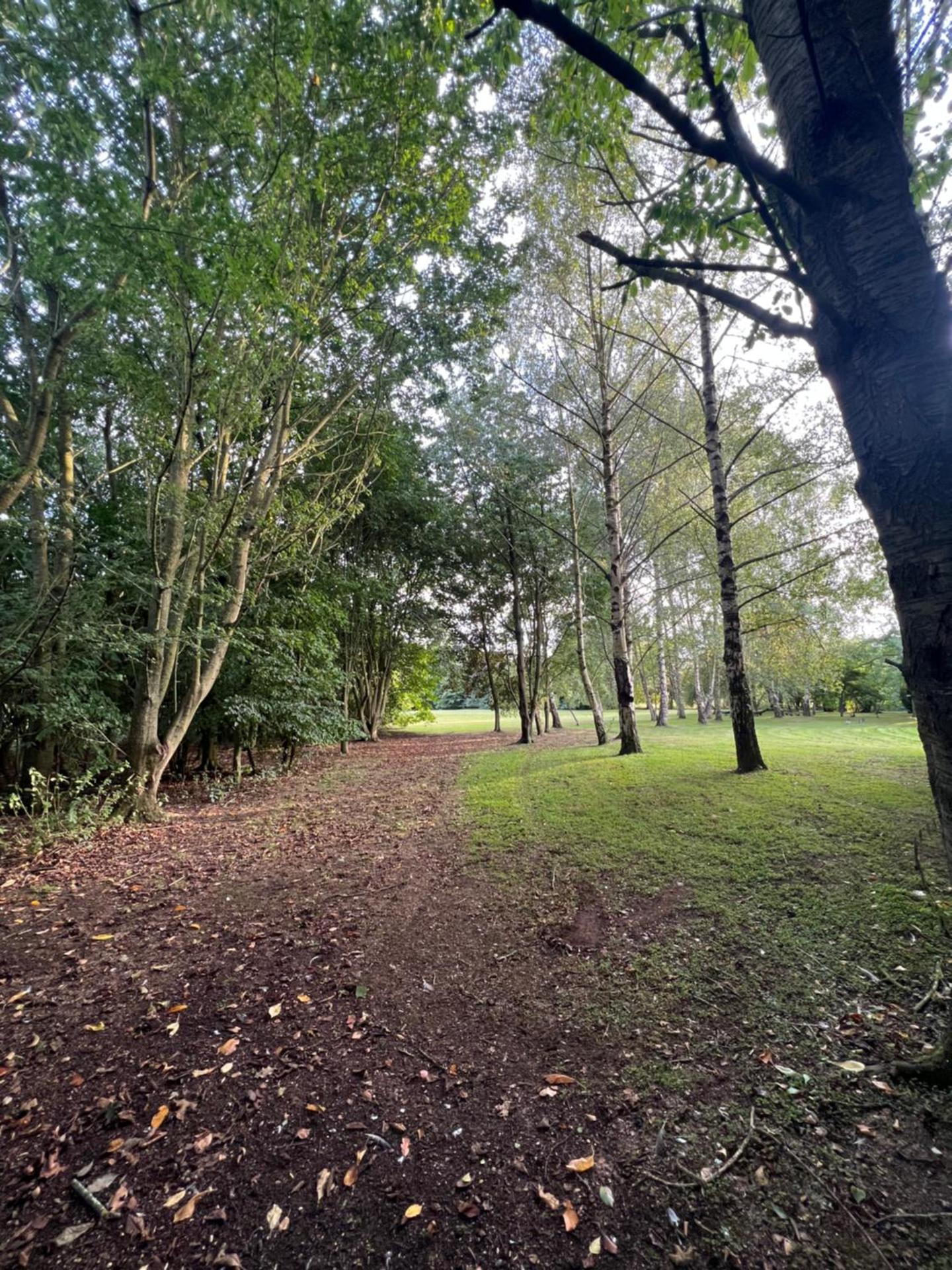 Luxury Woodlands Retreat, Countryside By The Coast