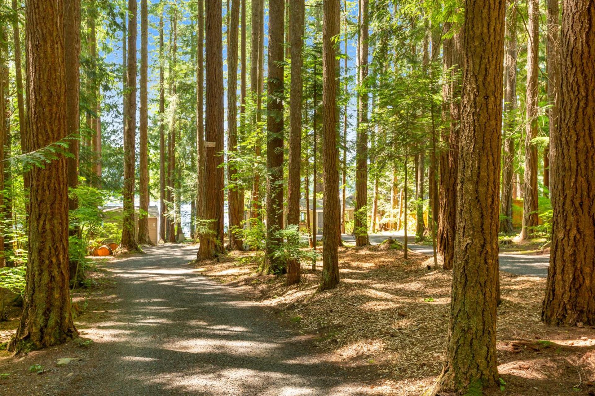 Moonlight Cottage at Lake Alice