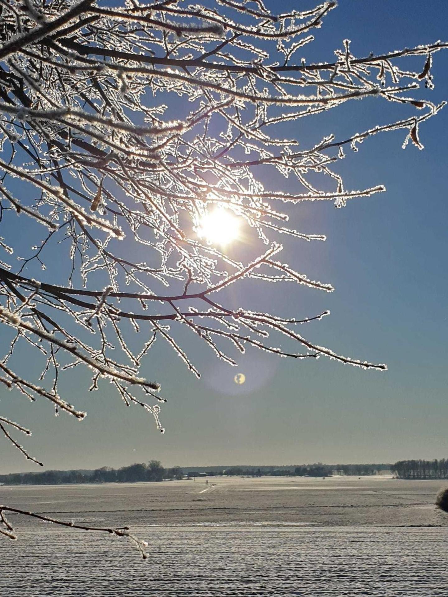 Luxus Loft am Müritzufer