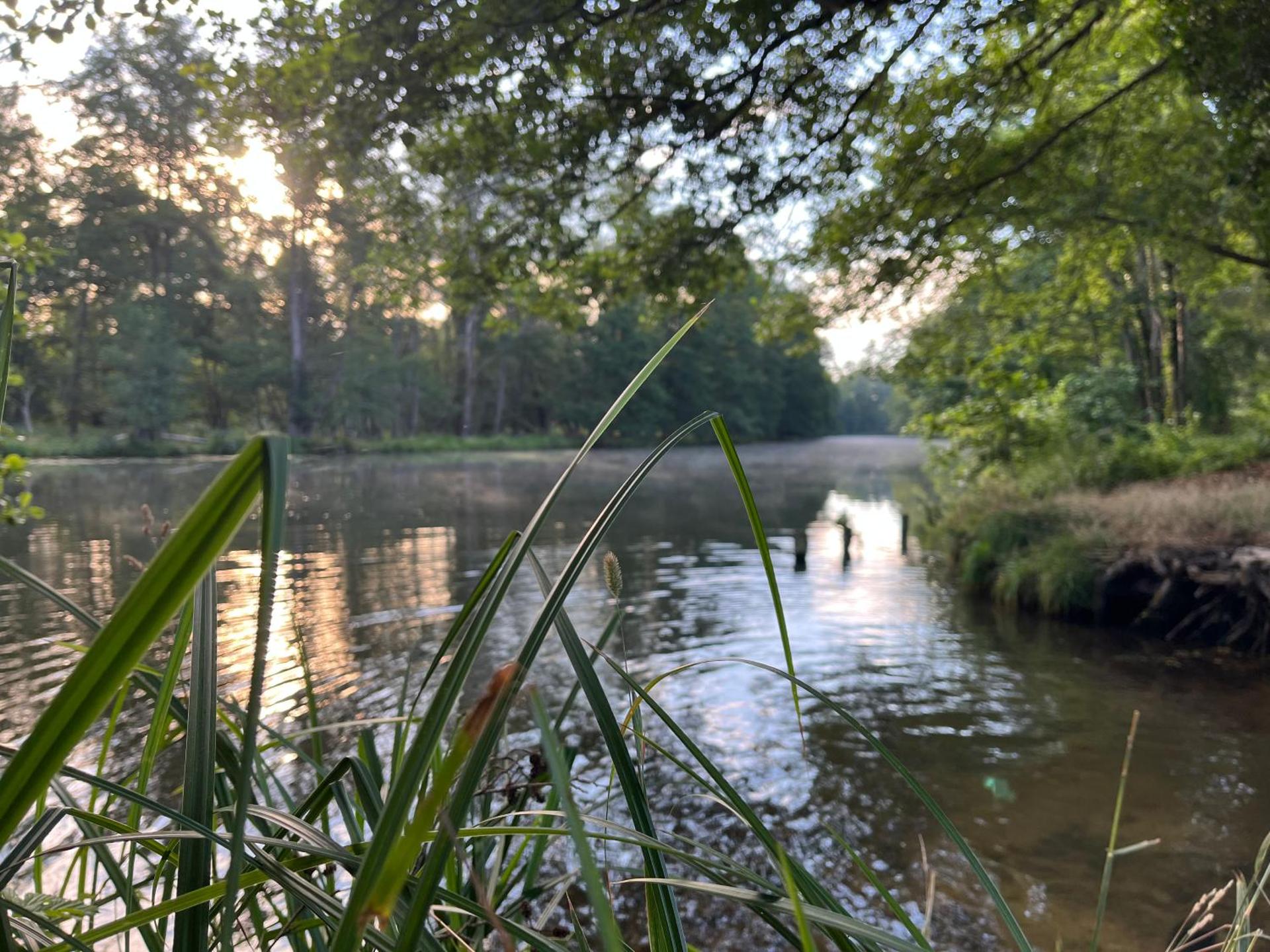 Kahnstübchen Mit NEUEM Innenhof Garten